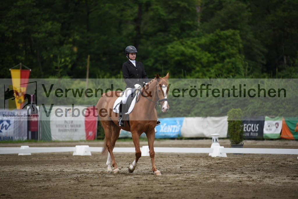 DSC_7997 | equestrian-live-com