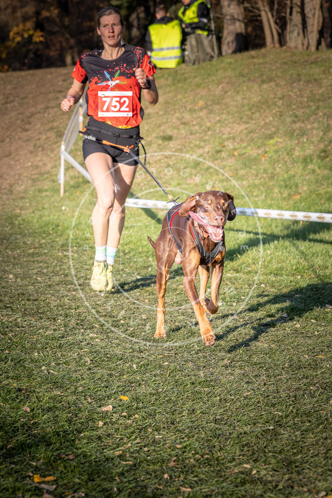 CaniXpix_0L8A9907 | Hundefotografie, Tierfotograf, Pfotenfotografie, Fotoshooting Hund, Hunde Portrait, Hundesport, Hundeportraits, Heideshooting, Hunde, Sportfotograf, Hundefotograf, Turnierhundsport, THS,  - Realisiert mit Pictrs.com