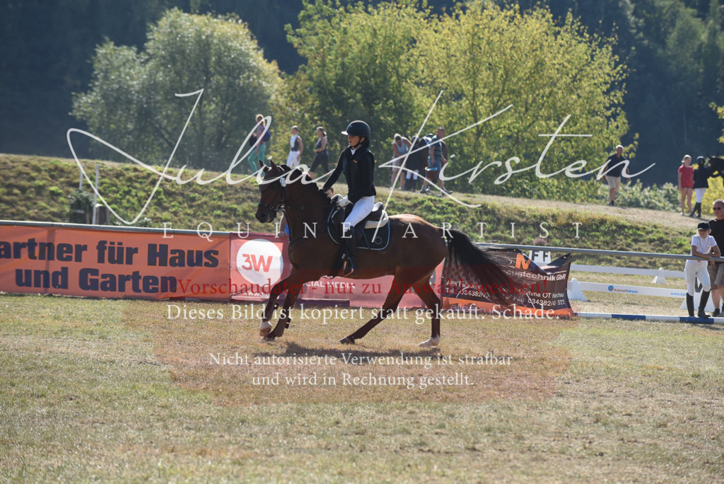 DSC_6127 | Pferde- und Turnierfotografie in Westsachsen. Pferdeportraits, Auftragszeichnungen und intuitive Kunst.