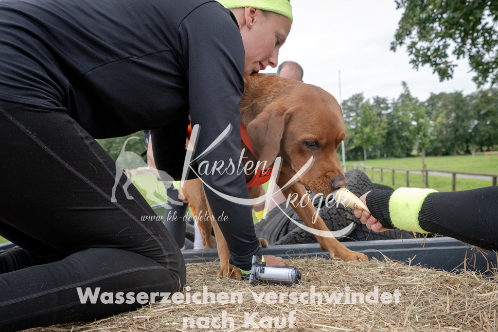 1236_ZZ91414 | kk-dogfotos