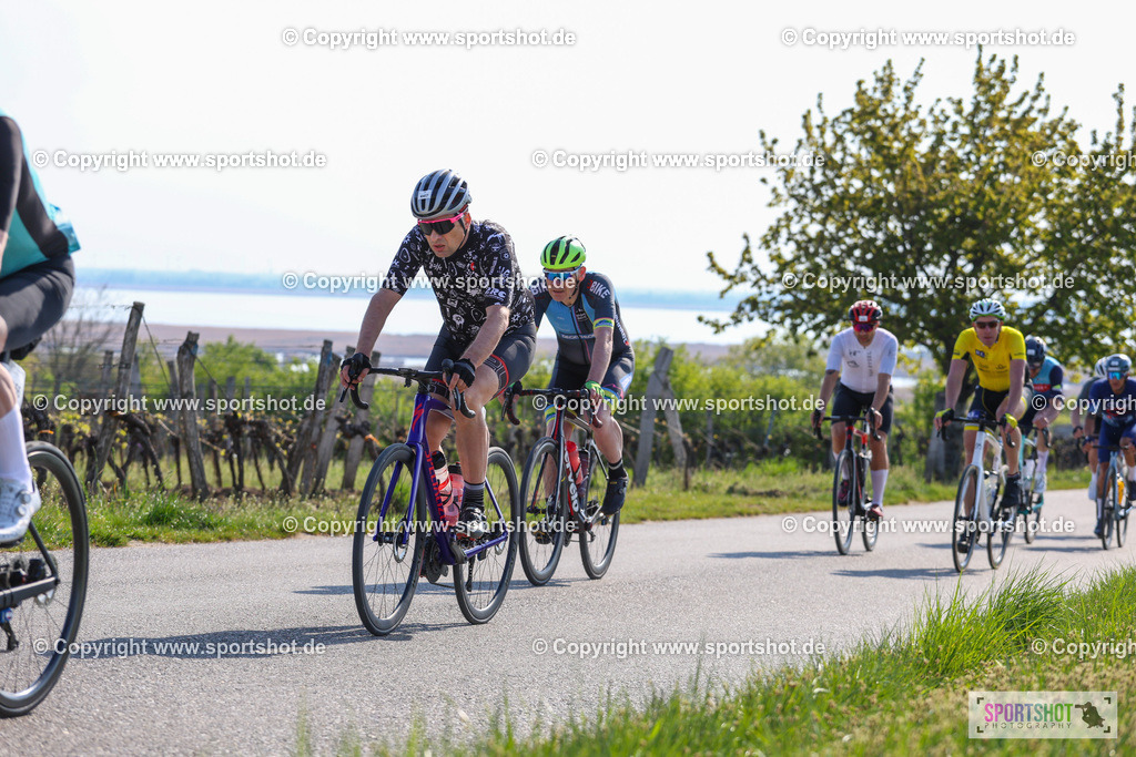 IMG_1295 | @sportshot_your_pictrs #yourpictures#roadtowm2029 #nrm #neusiedlerseeradmarathon #neusiedlersee #neusiedlerseetourismus #burgenland #mörbisch #nrm26 #burgenlandtourismus #voglundco #poweredbyburgenlandtourismus #radsport #rad #marathon #ucigranfondo #visitburgenland #ucigranfondoworldseries