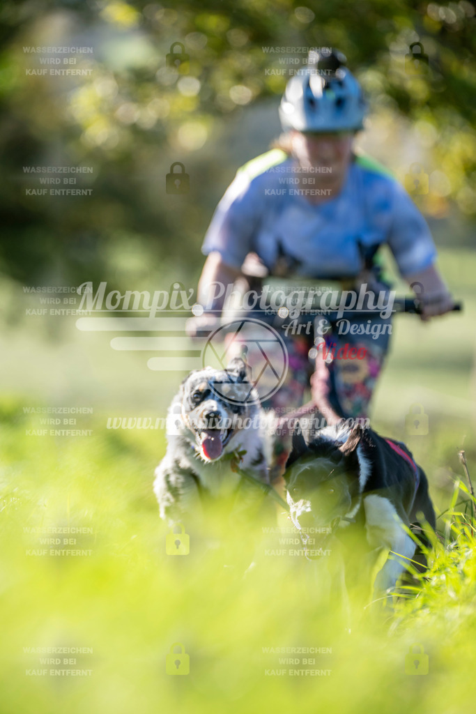MompixPhotography_20TSB_E3_DS2-29 | PayLife