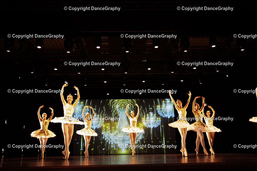 GPHY5339 | DanceGraphy - Realisiert mit Pictrs.com