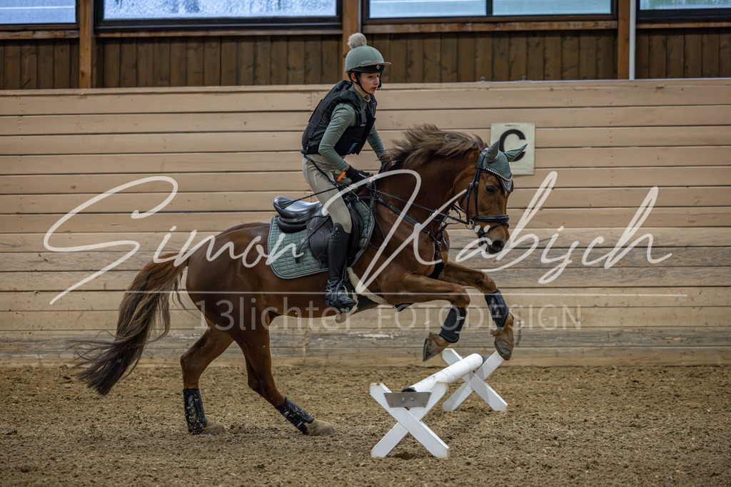 20260222-_3LI0719 | Tierfotografie Pferde, Hunde, Katzen, Haustiere.
Turnierfotografie Reitturniere, Reiten, Springreiten, Dressur in Hanau, dem Main-Kinzig-Kreis und dem Rhein-Main- Gebiet um Frankfurt