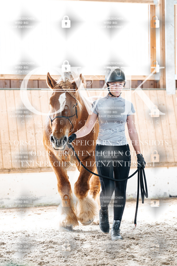 CK906434 | Turnierfotografie Pferdefotografie Trier Rheinland-Pfalz Pferdesport Reitsport Tierfotografie Sportfotografie Pferdevideo Pferdevideografie Equestrianvideography equestrianphotography  - Realisiert mit Pictrs.com