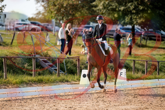 2026_10_03_Siefer-Hof_131712_Z63_78840140 | Professionelle Reitsport-, Turnier- und Eventfotografie von Robert Broda. Galerien mit ausgewählten und bearbeiteten Bildern direkt online ansehen und bestellen.