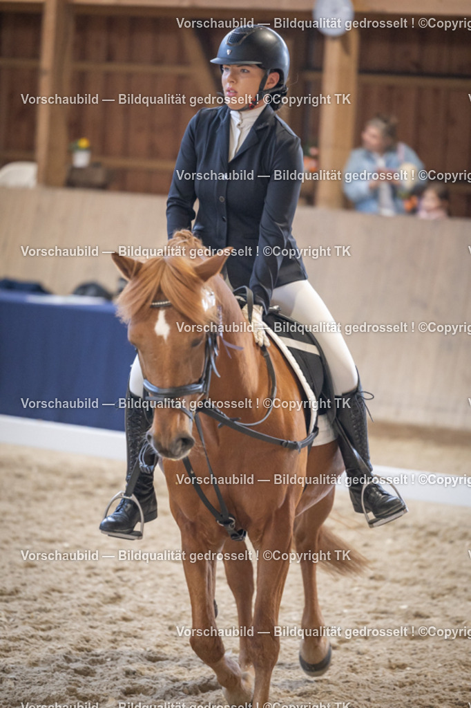 _D5A5605 | Emotionale Pferde- & People-Fotografie rund um Heidelberg, Leimen & Umgebung. Natürliche Fotos von Pferd, Mensch & Familie. Jetzt Termin sichern!