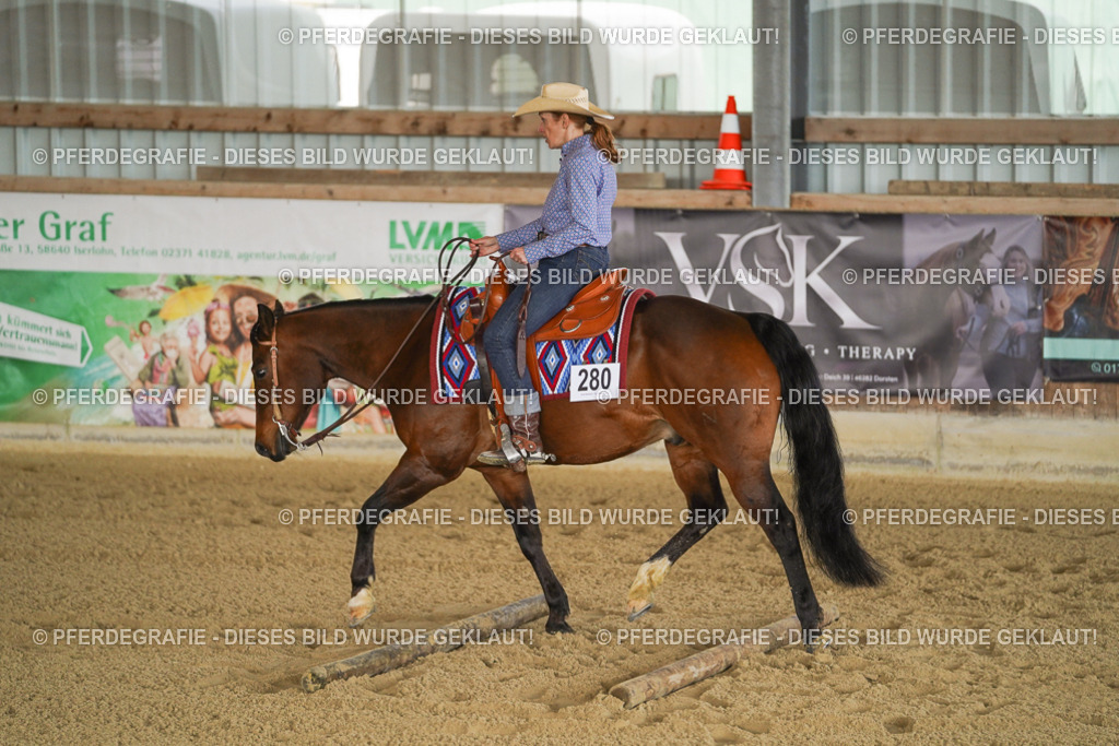 DSC03317 | Pferdegrafie