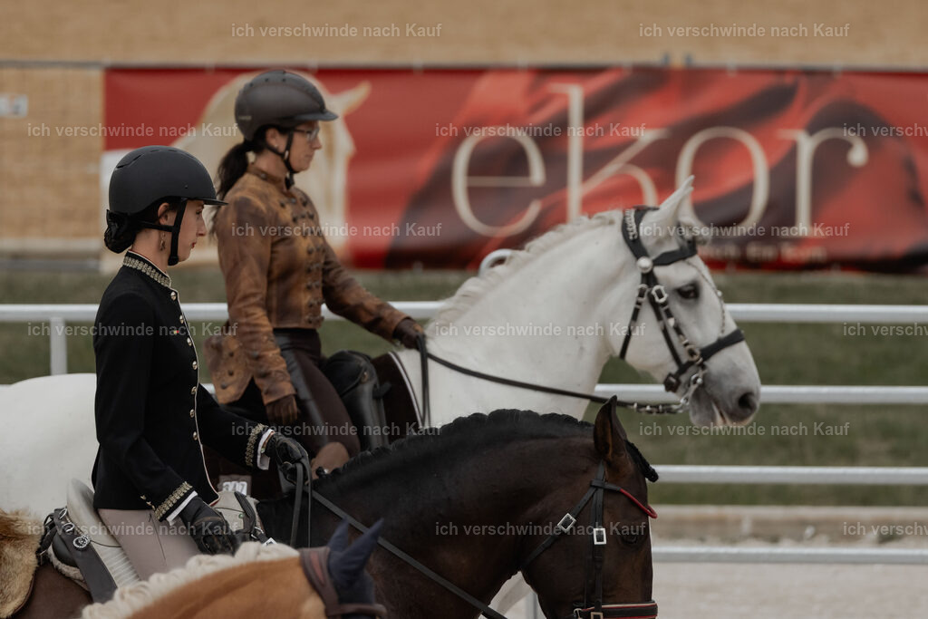 WE__Stoib_Rinder_PI2025_3001 | Pferd International München 2025