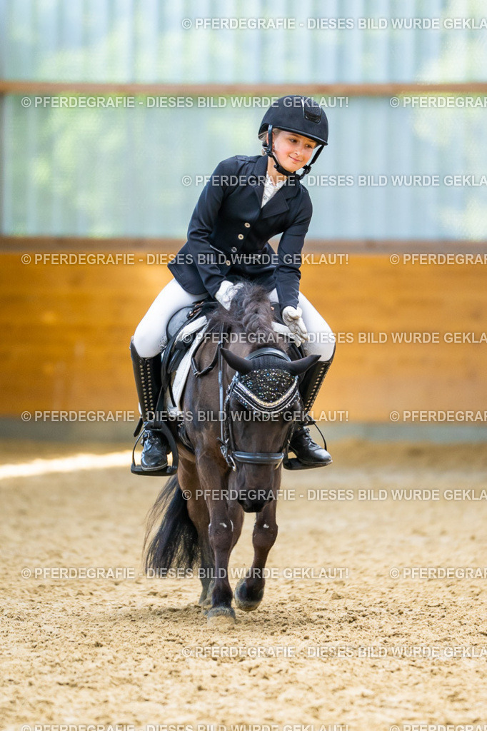 DSC09180 | Pferdegrafie