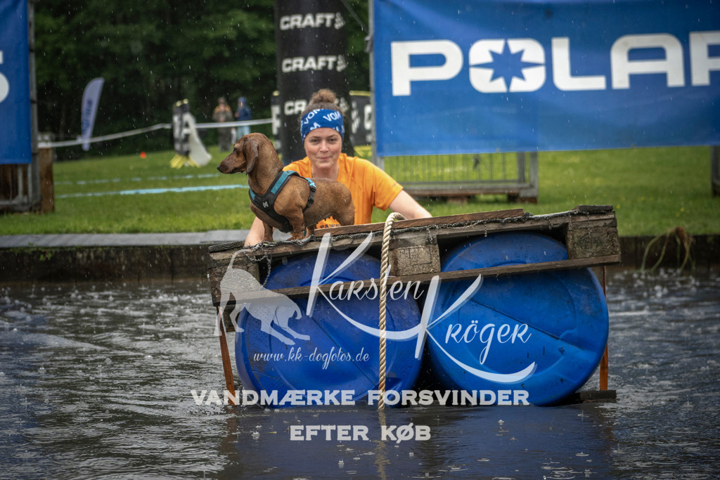 1412_ZZ99347 | kk-dogfotos