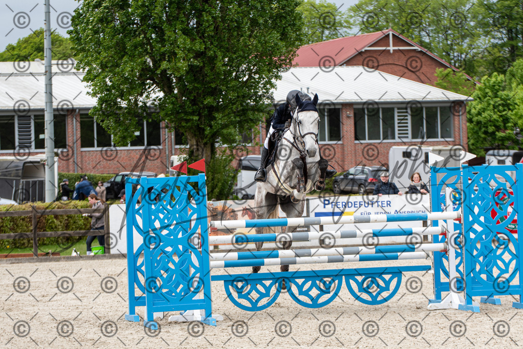 KPT_9767 | andre_photographic