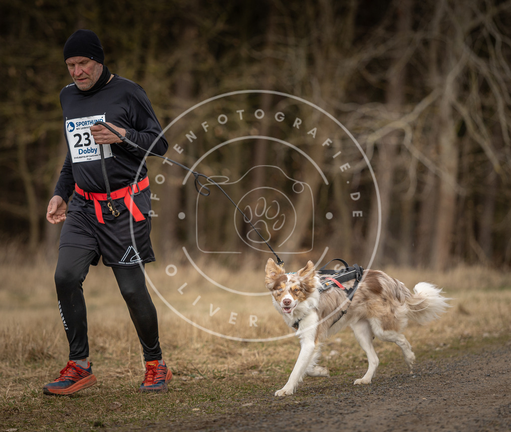 DV3A5345 | Hundefotografie, Tierfotograf, Pfotenfotografie, Fotoshooting Hund, Hunde Portrait, Hundesport, Hundeportraits, Heideshooting, Hunde, Sportfotograf, Hundefotograf, Turnierhundsport, THS,  - Realisiert mit Pictrs.com