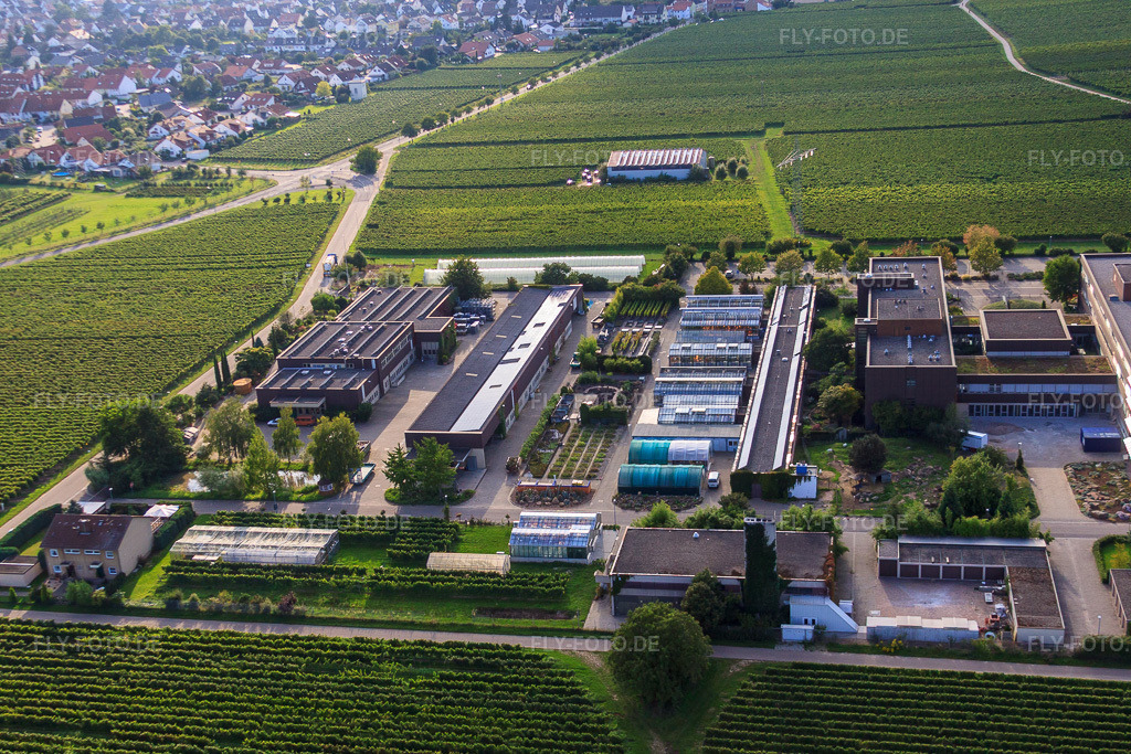 Luftbild: RLP Agroscience im Ortsteil Mußbach an der Weinstraße in Neustadt im Bundesland Rheinland-Pfalz in Deutschland. Foto: IMG_33031.jpg vom 04.09.2010 durch Werner Riehm/FLY-FOTO.de