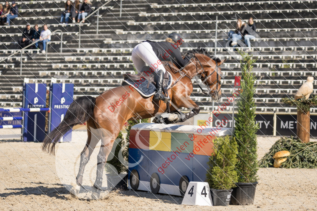 IMG_3629 | Sport-, Event- und Tierfotos in Profiqualität. Einfach auswählen, bestellen und herunterladen. Dein Moment – perfekt festgehalten.