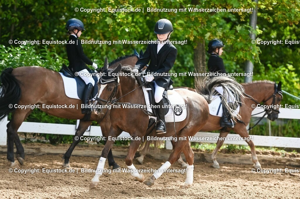 20230716_10-3_Reiter-WB Schritt - Trab - Galopp_0074 | equistock