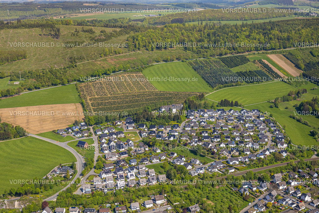 Olsberg240503165 | Luftbild, Wohngebiet Am Rinkental, Klinik Langenberg, Baumplantagen und Waldgebiet mit Fernsicht, Olsberg, Sauerland, Nordrhein-Westfalen, Deutschland