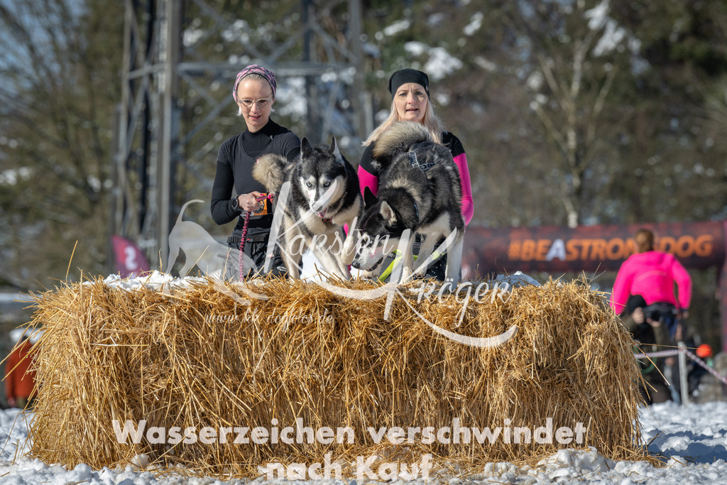 1127_ZZ92252-3 | kk-dogfotos