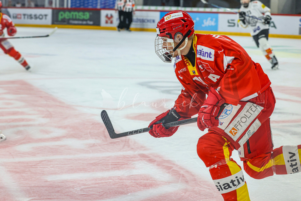 701A2997 | Sportbilder, Sportfotograf, Hochzeits- und Eventfotografin, Flugshows, Portraits und Tiershooting, Aviation, Downhill, Nationalleague, Swissleague, International