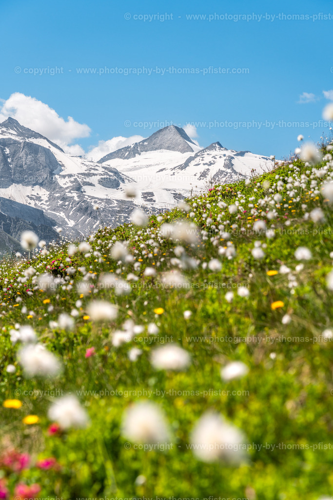 Blick zum Olperer copyright  Thomas Pfister-1 | PHOTOGRAPHY BY THOMAS PFISTER