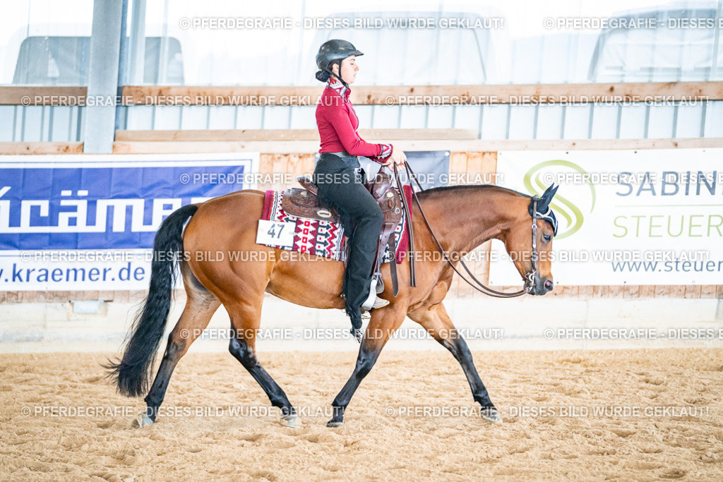 DSC02503 | Pferdegrafie