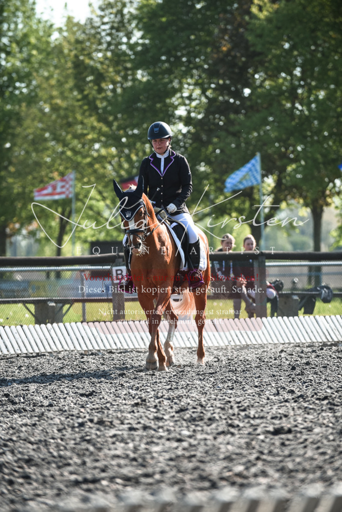 DSC_8419 | Pferde- und Turnierfotografie in Westsachsen. Pferdeportraits, Auftragszeichnungen und intuitive Kunst.