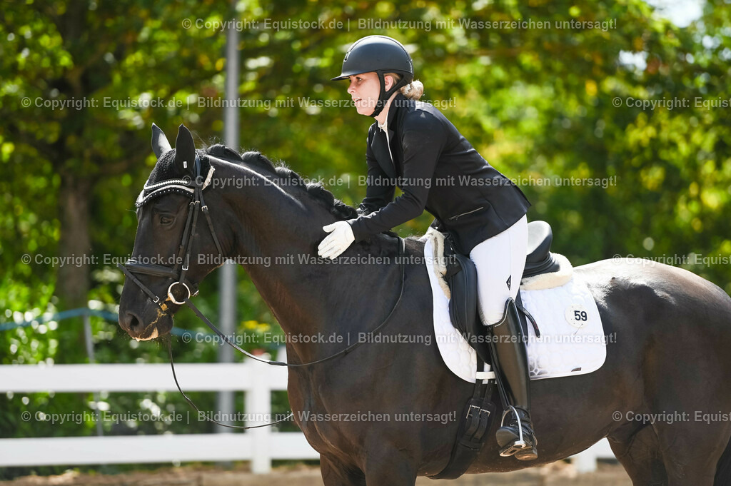 20230715_07_Dressurpferdeprfg. Kl.L_0163 | equistock