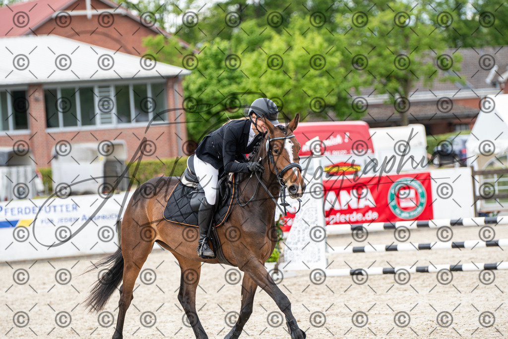 KPT_6171 | andre_photographic