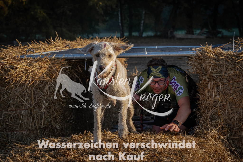 0921_ZZ92613 | kk-dogfotos