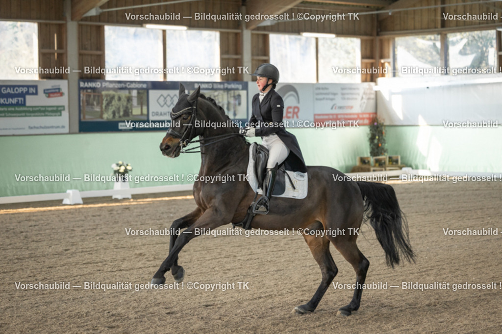 _D5A7732 | Emotionale Pferde- & People-Fotografie rund um Heidelberg, Leimen & Umgebung. Natürliche Fotos von Pferd, Mensch & Familie. Jetzt Termin sichern!