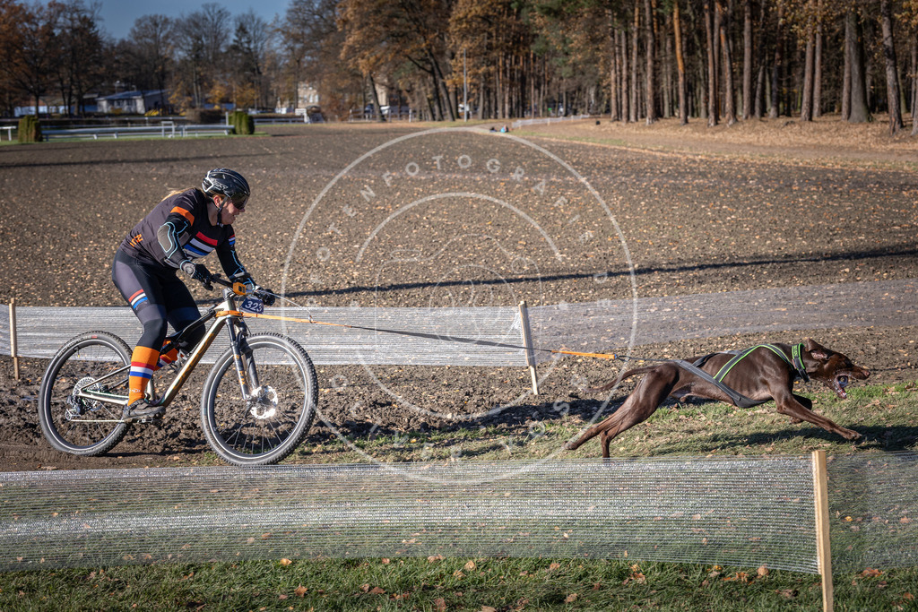CaniXpix_DV3A6578 | Hundefotografie, Tierfotograf, Pfotenfotografie, Fotoshooting Hund, Hunde Portrait, Hundesport, Hundeportraits, Heideshooting, Hunde, Sportfotograf, Hundefotograf, Turnierhundsport, THS,  - Realisiert mit Pictrs.com