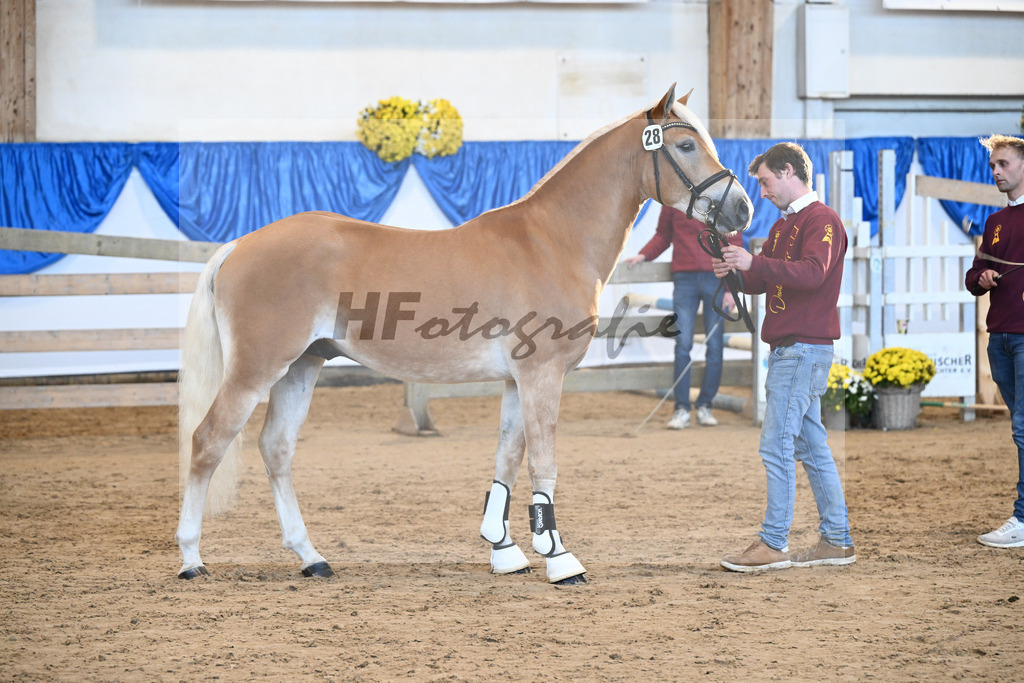 Kat-Nr. 28 nn v. Nio_Kirchberger_48250567 | hf-fotografie - Realisiert mit Pictrs.com