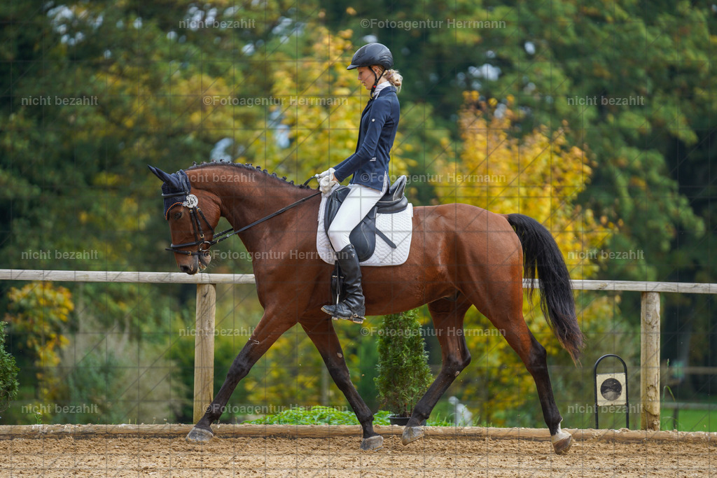 20221007-FAH09853 | Diessen am Ammersee, 2022, Dressur- und Springturnier, Reitsportbilder, Turnierfotografen Bayern, Pferdefotografen, Fotoagentur Herrmann, Turnierbilder
