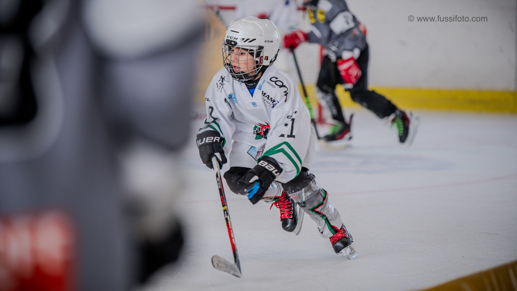 DSC_1255 | "Fussifoto.com – Ihr Ansprechpartner für hochwertige Fotografie! Entdecken Sie kreative Bilder und professionelle Dienstleistungen. Kontaktieren Sie uns für Ihre Projekte!"