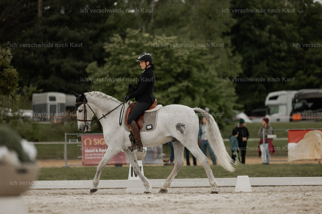 WE_DR_Stoib_312_PI2025_250 | Pferd International München 2025