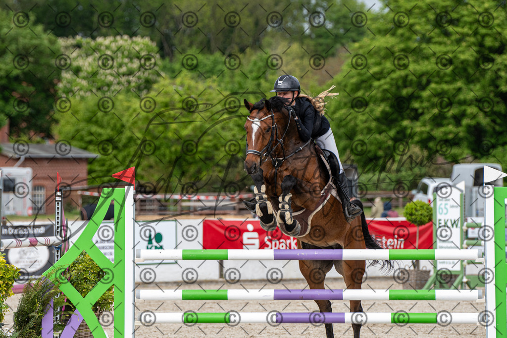 KPT_9883 | andre_photographic