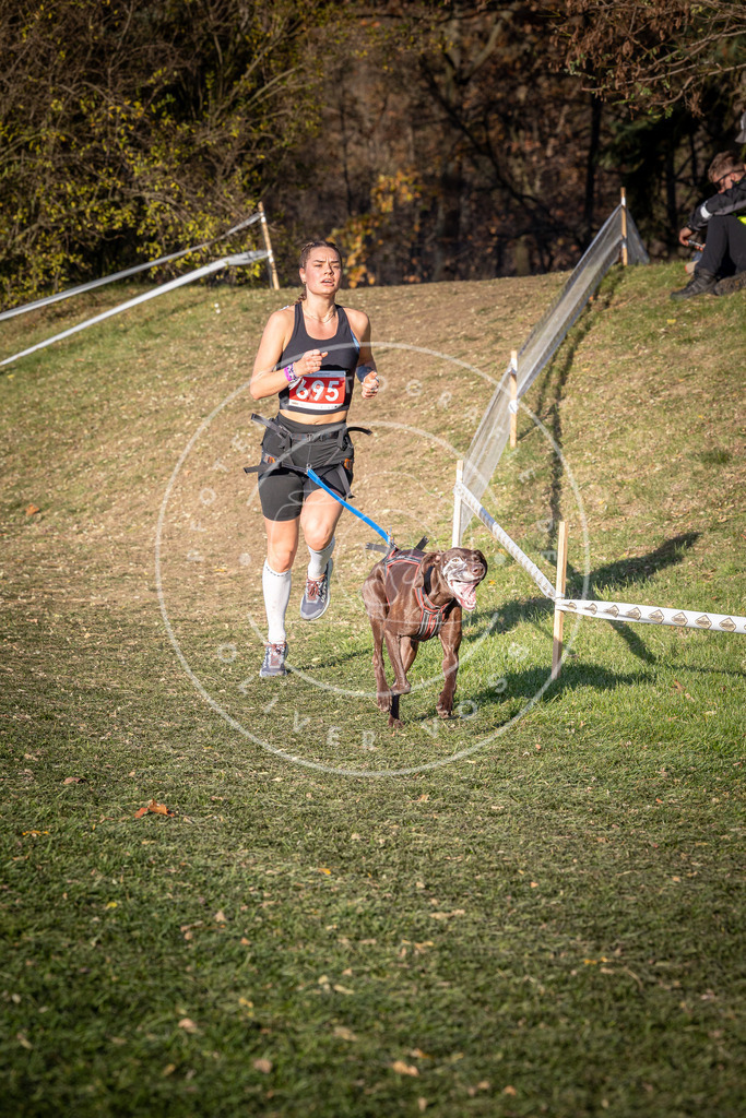 CaniXpix_0L8A9402 | Hundefotografie, Tierfotograf, Pfotenfotografie, Fotoshooting Hund, Hunde Portrait, Hundesport, Hundeportraits, Heideshooting, Hunde, Sportfotograf, Hundefotograf, Turnierhundsport, THS,  - Realisiert mit Pictrs.com