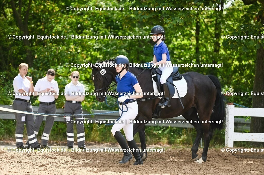 20230716_11_Führzügel-WB_0029 | equistock