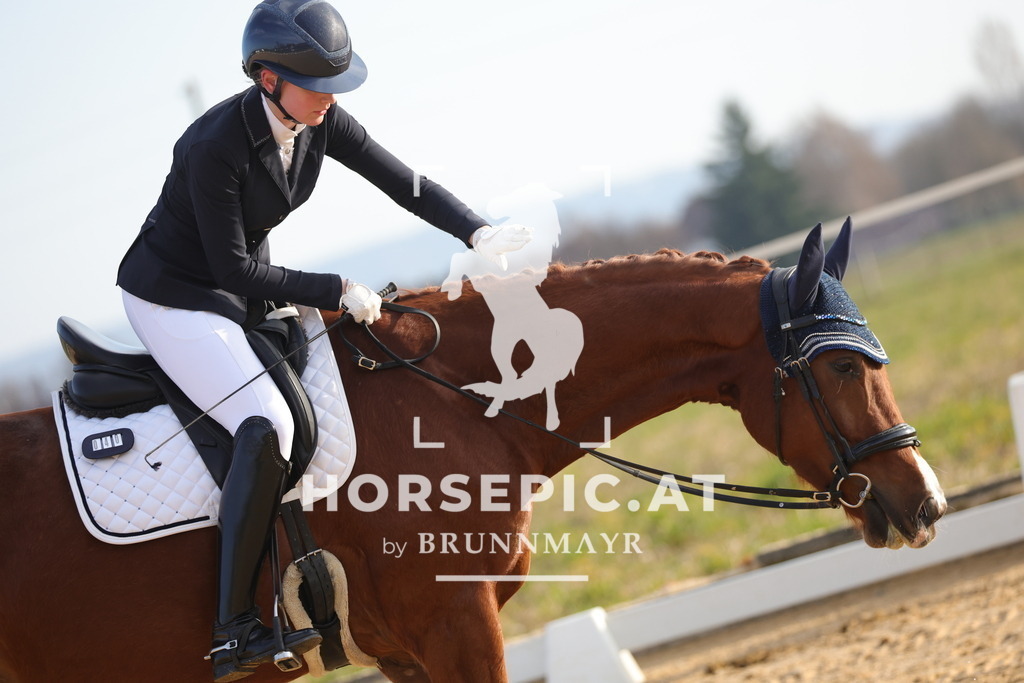 0P6A5963 | Willkommen bei Brunnmayr - Design & Fotografie – Ihrem Spezialisten für Reitturniere und Pferdeveranstaltungen in Oberösterreich, Salzburg und Bayern! Seit über 17 Jahren sind wir leidenschaftlich dabei.