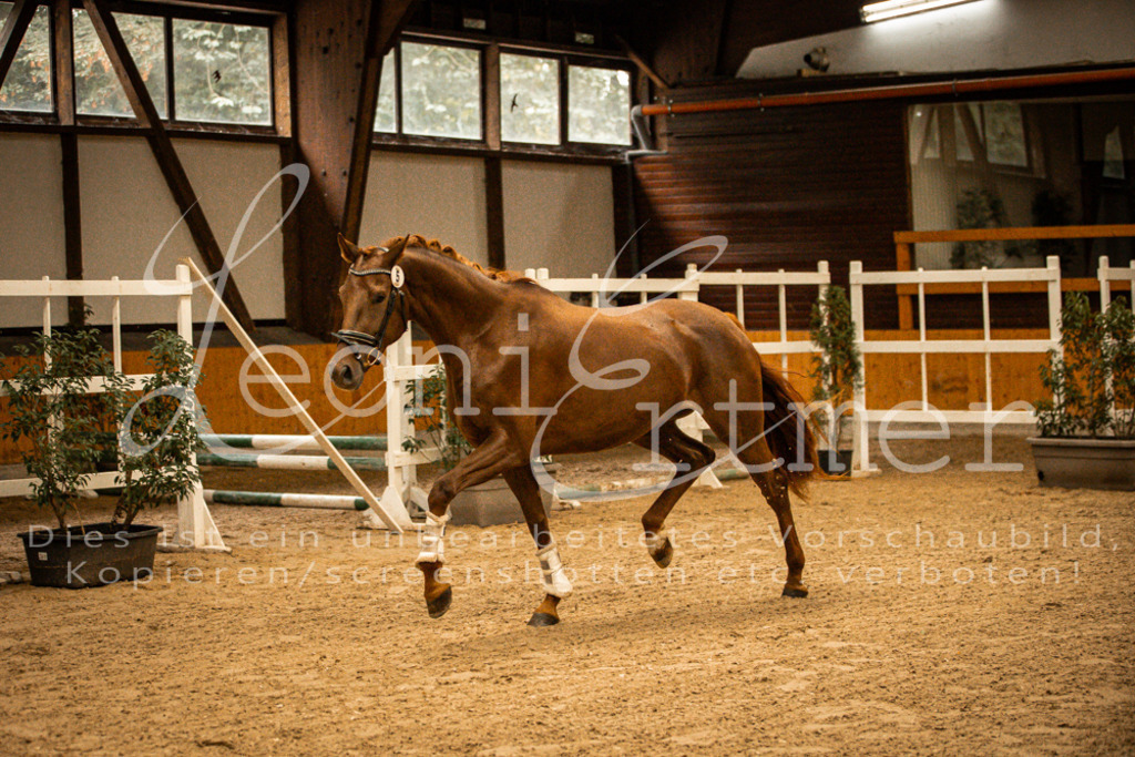 1FS_L00067 | Leoni Ertmer Photography - Realisiert mit Pictrs.com