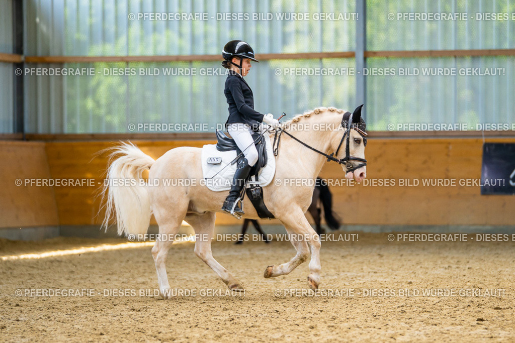 DSC09122 | Pferdegrafie