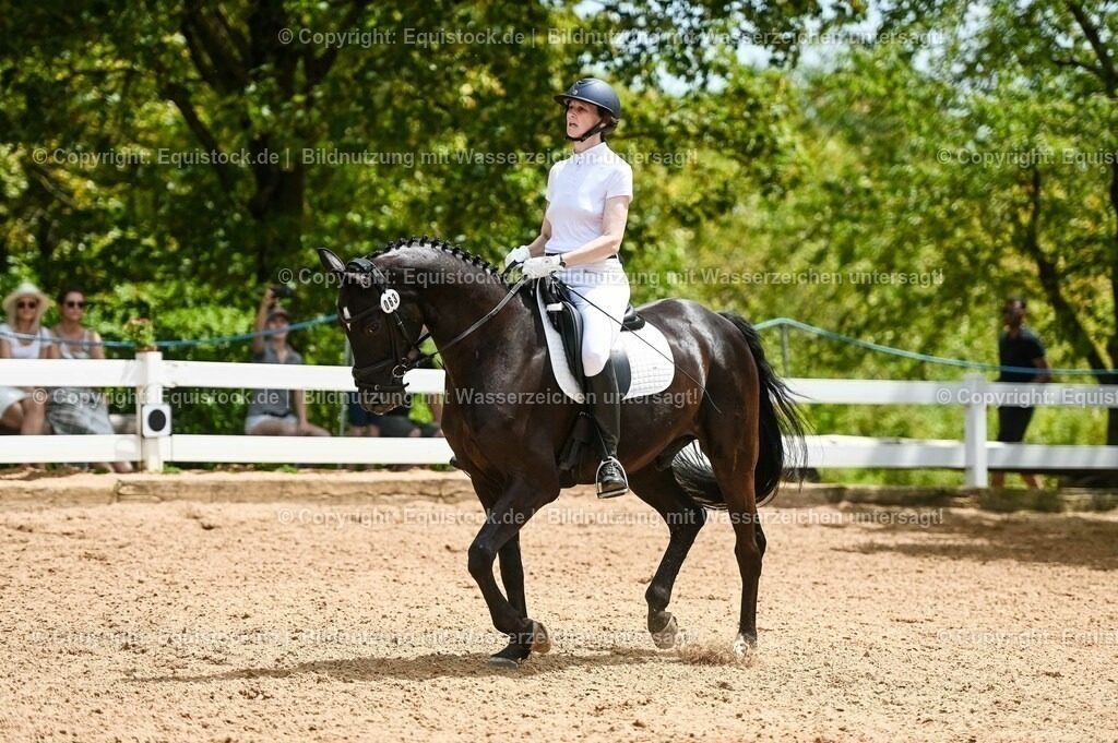 20230715_05_Dressurprüfung Kl.A++_0245 | equistock