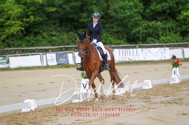 DKP47252 | Turniersportfotografie; Pferdefotografie; Dressurfotografie