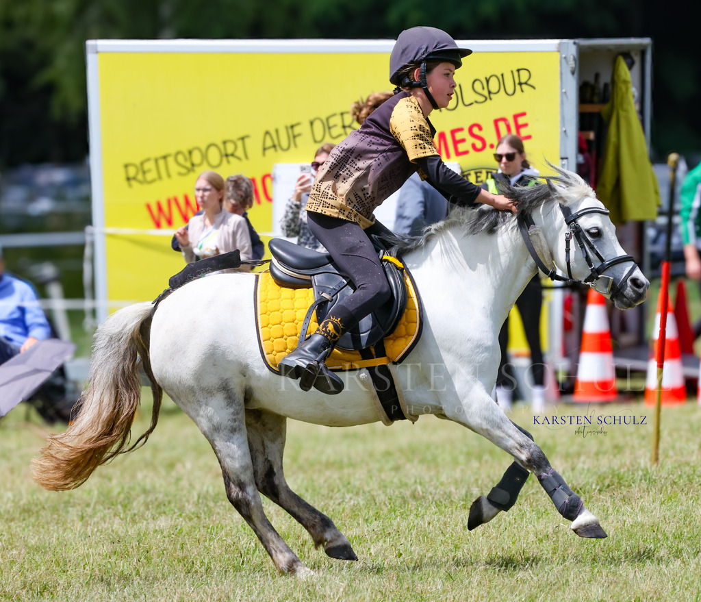 1B3A0652 | Reitsport Reiten