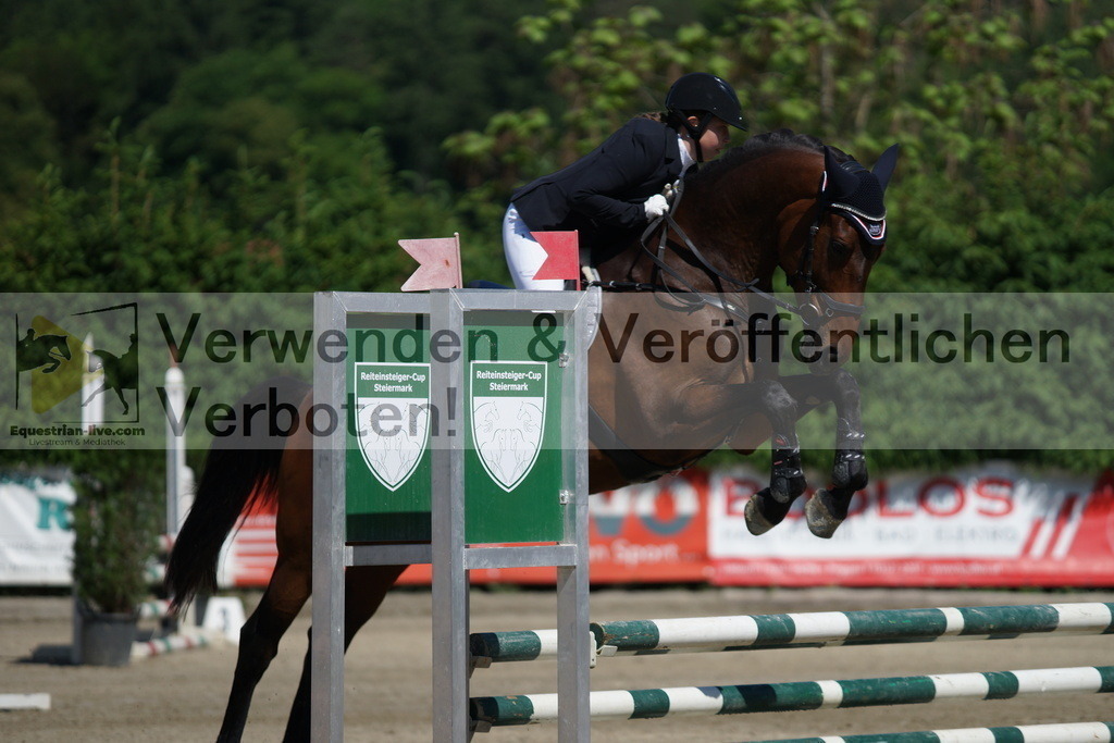 DSC06191 | equestrian-live-com