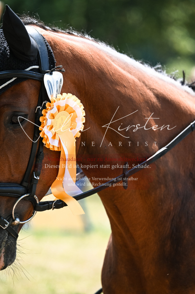 DSC_9536 | Pferde- und Turnierfotografie in Westsachsen. Pferdeportraits, Auftragszeichnungen und intuitive Kunst.