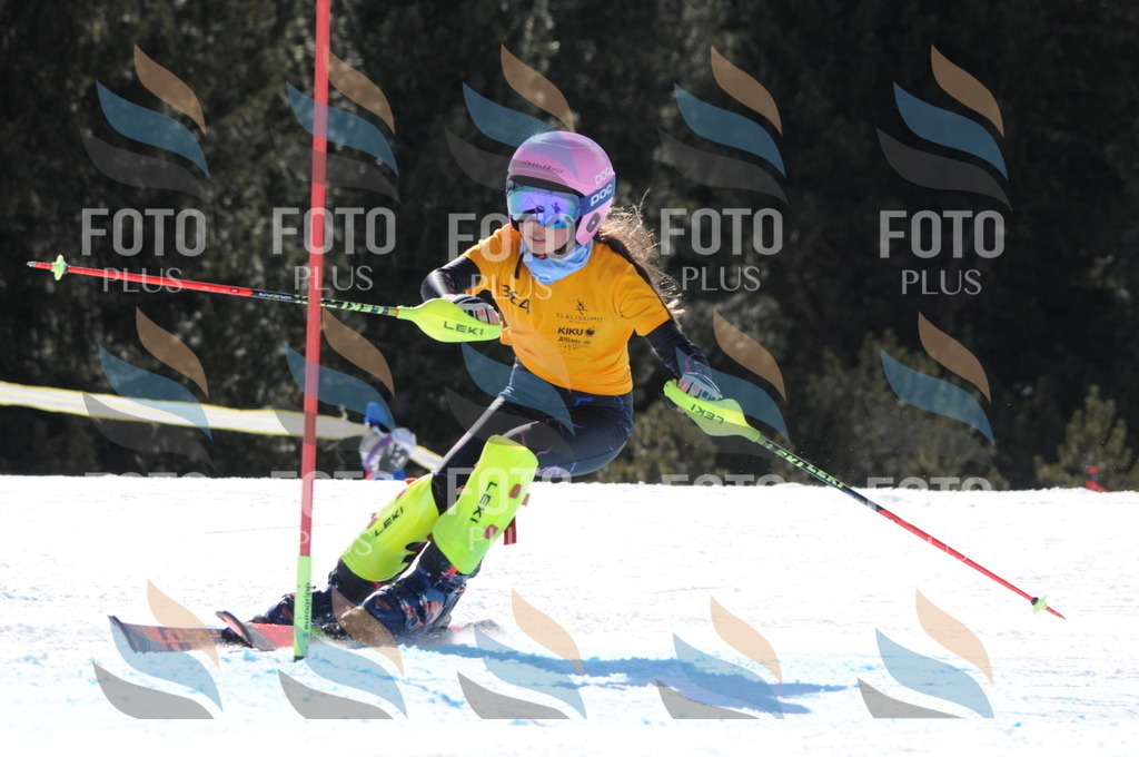 C8932 | holidayphoto