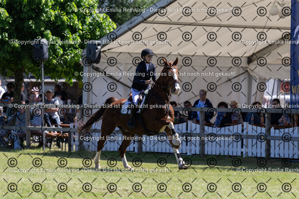 CL5A1062 | Emilia Reinking Fotografie - Realisiert mit Pictrs.com