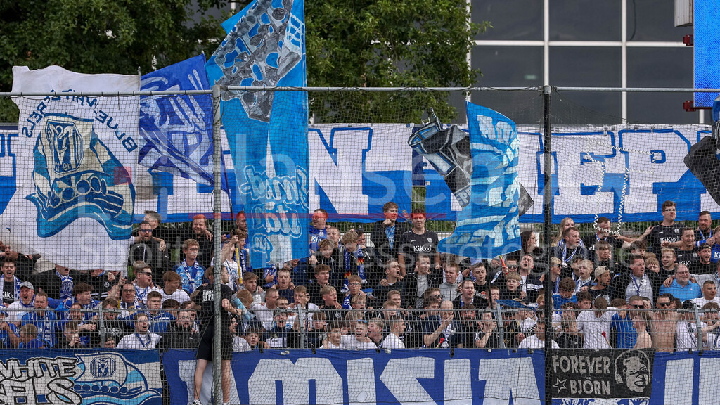 Fussball, Regionalliga Nord, BSV Kickers Emden - SV Meppen | Die Fans des SV Meppen, Fanblock, Zuschauer, Fahnen, Fanschals, Gästeblock, Ultras