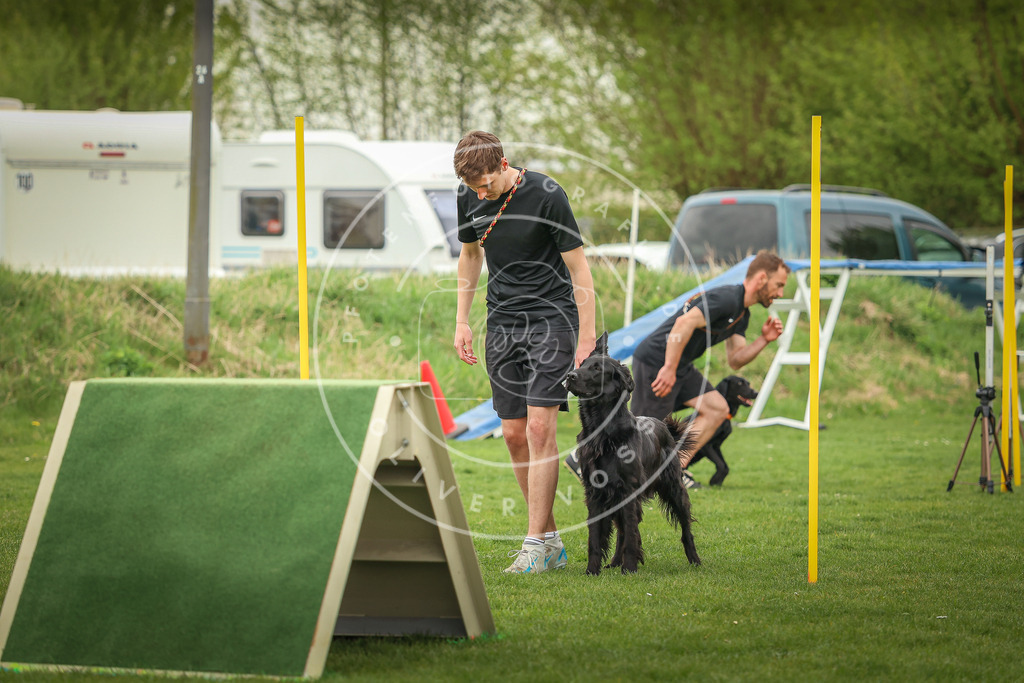 Pfotenfotografie_0L8A0319 | Hundefotografie, Tierfotograf, Pfotenfotografie, Fotoshooting Hund, Hunde Portrait, Hundesport, Hundeportraits, Heideshooting, Hunde, Sportfotograf, Hundefotograf, Turnierhundsport, THS,  - Realisiert mit Pictrs.com